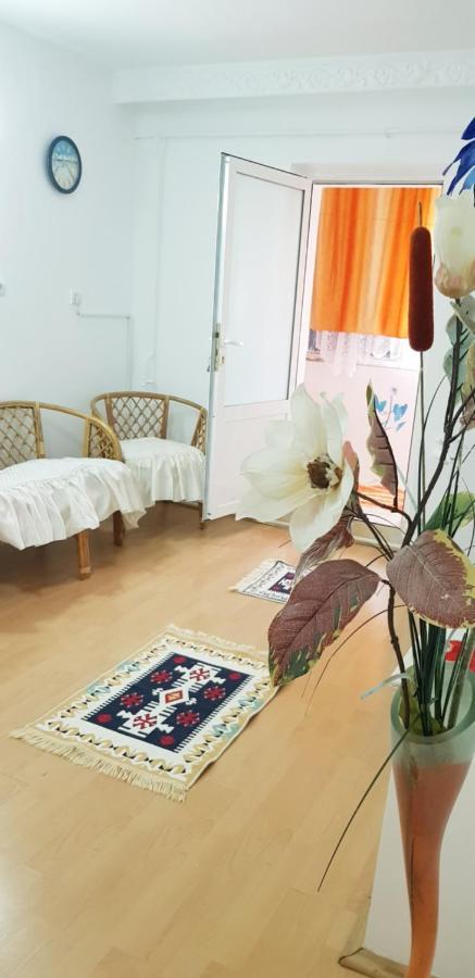 Casa Mihaela Apartamento Mangalia Exterior foto